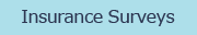 Insurance Surveys